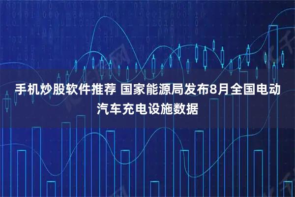 手机炒股软件推荐 国家能源局发布8月全国电动汽车充电设施数据