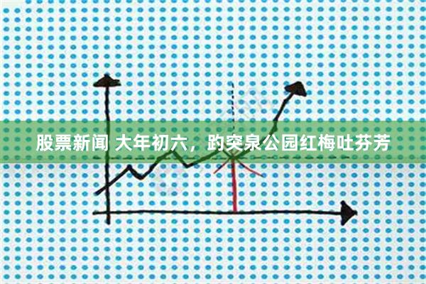 股票新闻 大年初六，趵突泉公园红梅吐芬芳