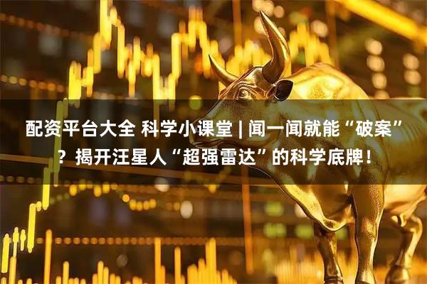 配资平台大全 科学小课堂 | 闻一闻就能“破案”？揭开汪星人“超强雷达”的科学底牌！