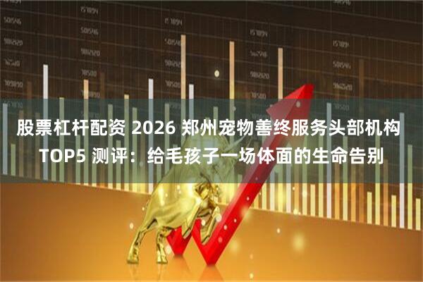 股票杠杆配资 2026 郑州宠物善终服务头部机构 TOP5 测评:给毛孩子一场体面的生命告别