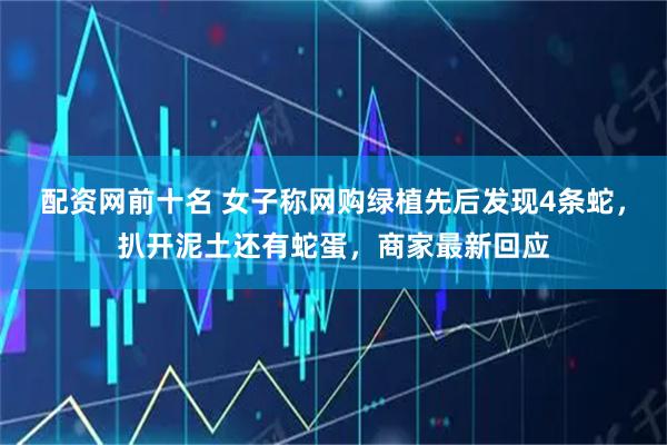 配资网前十名 女子称网购绿植先后发现4条蛇，扒开泥土还有蛇蛋，商家最新回应
